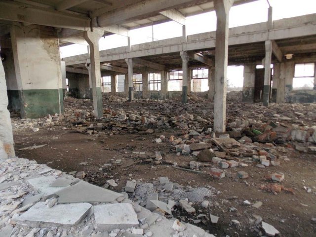 Аскания-Нова2