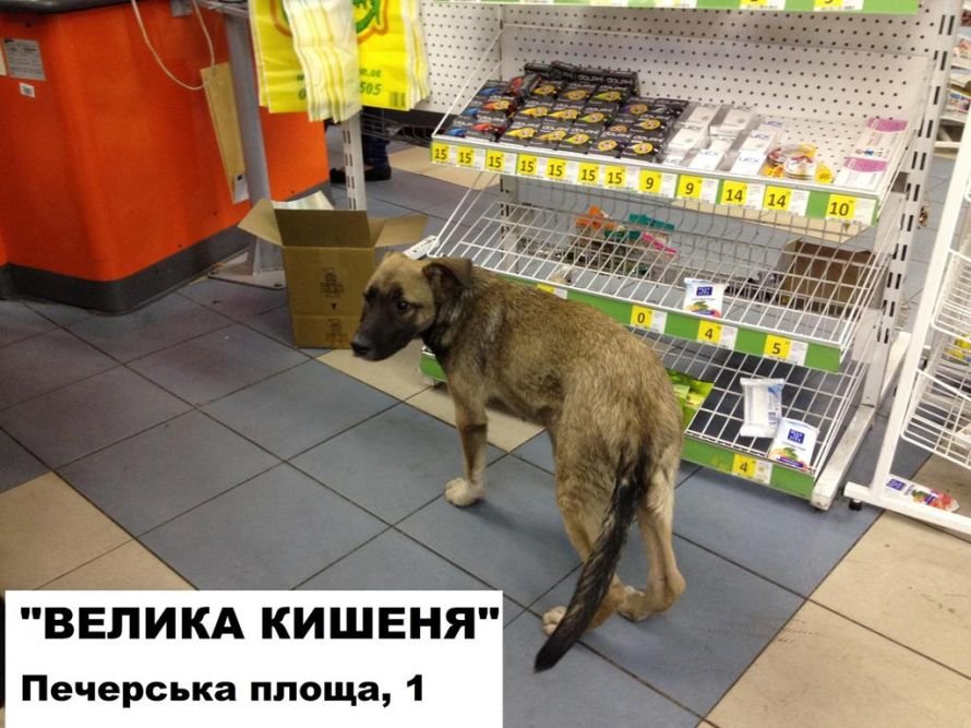 магазин5
