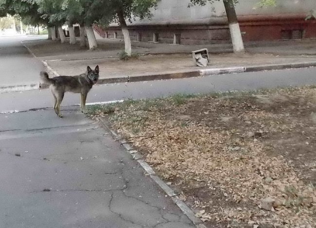 1377006151_vid-na-oga-4