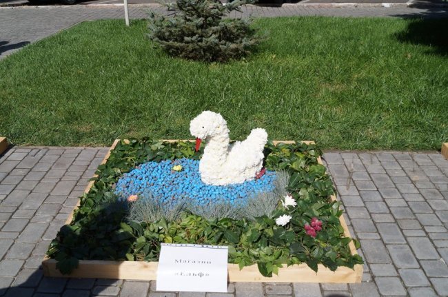 1379690149_63903_10200343469139396_1603139875_n