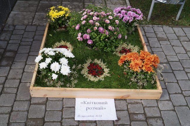 1379690273_1238812_10200343446618833_643608861_n