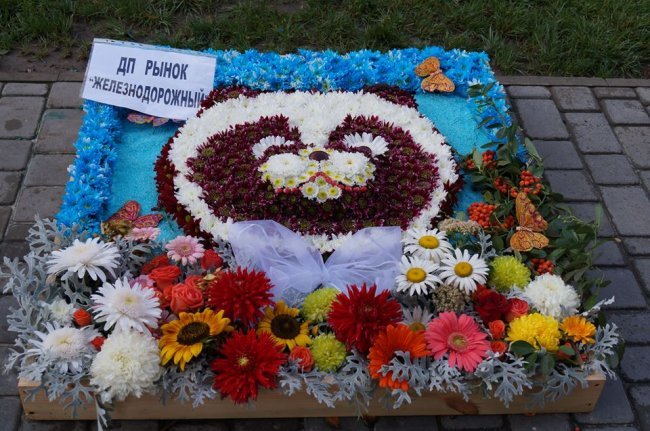 1379690275_1239685_10200343404937791_1480100771_n