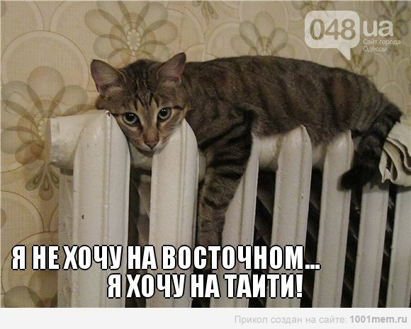 1d298bcfd3a53669f738a89d6aceb867
