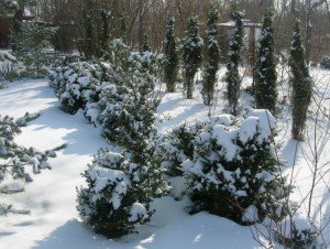 med_gallery_3_810_187583-300x226