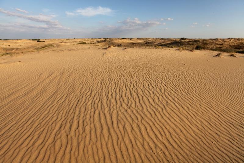 0552 пустыня в Херсонской области