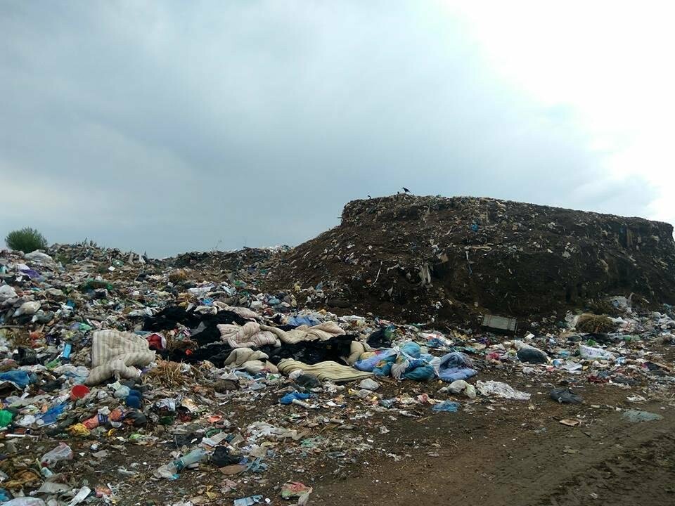Незаконный бизнес на херсонском мусоре, фото-5 Незаконный бизнес на херсонском мусоре, фото-5