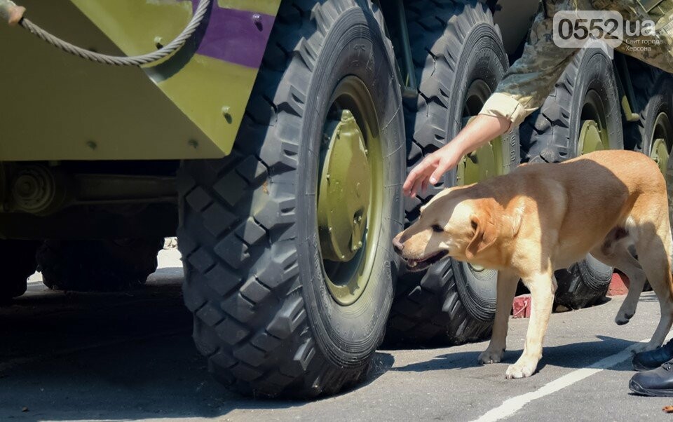В Херсоне лучшие служебные собаки со всей области искали на..., фото-4 В Херсоне лучшие служебные собаки со всей области искали наркотики, взрывчатку и оружие, фото-4
