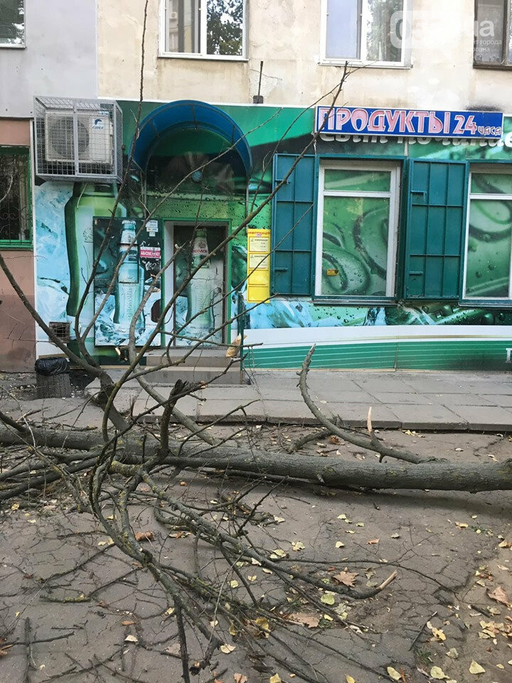 В Херсоне на головы пешеходов рухнуло огромное дерево: люди..., фото-2 В Херсоне на головы пешеходов рухнуло огромное дерево: люди отделались шоком, фото-2