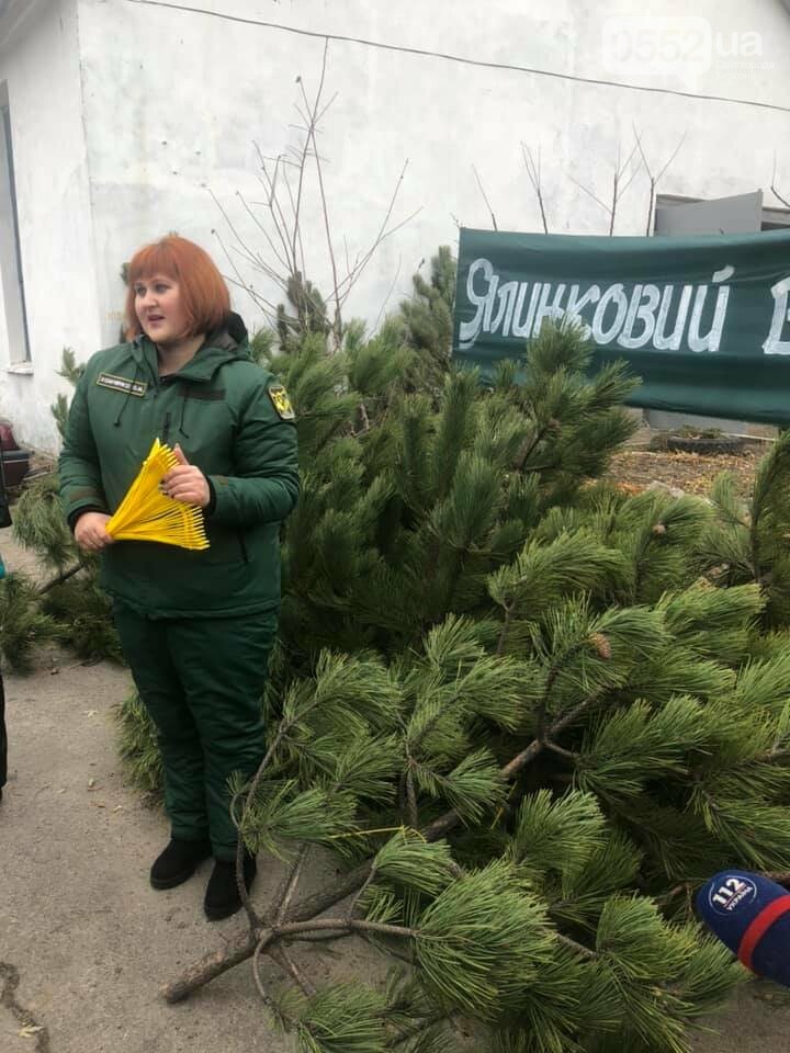 Новорічна ялинка: яку обрати, де купувати та скільки коштує, фото-2 Новорічна ялинка: яку обрати, де купувати та скільки коштує, фото-2