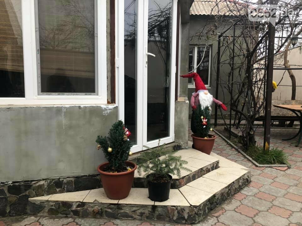 Новорічна ялинка: яку обрати, де купувати та скільки коштує, фото-10 Новорічна ялинка: яку обрати, де купувати та скільки коштує, фото-10