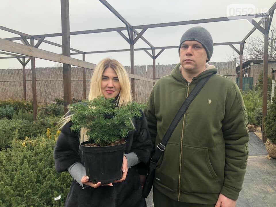 Новорічна ялинка: яку обрати, де купувати та скільки коштує, фото-8 Новорічна ялинка: яку обрати, де купувати та скільки коштує, фото-8