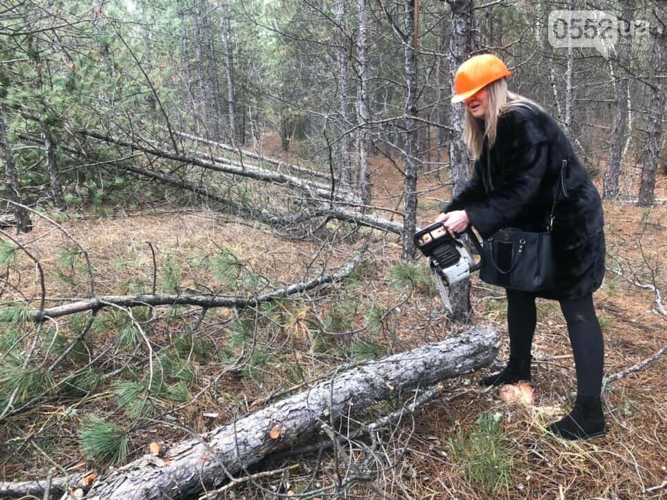 Новорічна ялинка: яку обрати, де купувати та скільки коштує, фото-4 Новорічна ялинка: яку обрати, де купувати та скільки коштує, фото-4