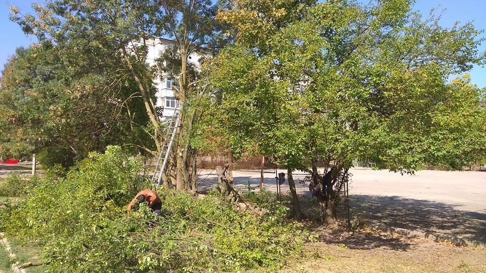 На Херсонщине жители собираются восстанавливать спортивную..., фото-1 На Херсонщине жители собираются восстанавливать спортивную инфраструктуру города, фото-1