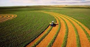 Сколько уже продано гектаров сельскохозяйственных угодий на Херсонщине:рынок земли