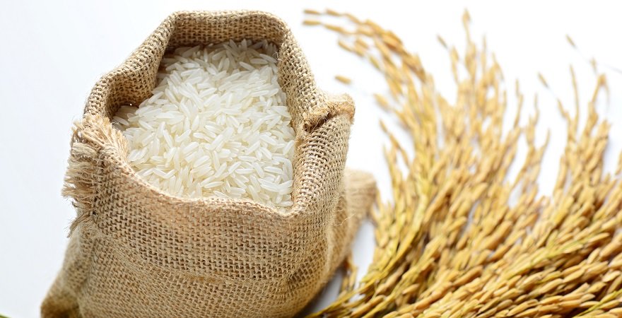 Врожайність рису зросла до 8 т/га на Херсонщині