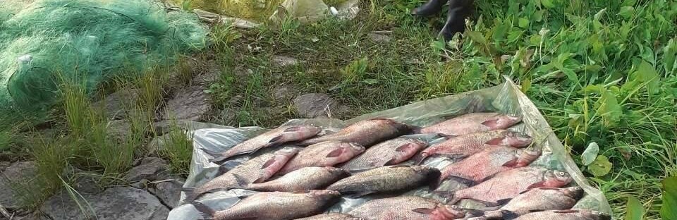 Злостным правонарушителям, разоряющим водные ресурсы Херсонщины, гр... Злостным правонарушителям, разоряющим водные ресурсы Херсонщины, грозит ограничение свободы на срок до 3 лет