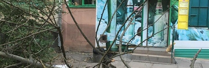 Херсонцам пришлось бежать от падающего на их головы дерева: коммуна... Херсонцам пришлось бежать от падающего на их головы дерева: коммунальные службы бездействуют, Дмитрий Коренков