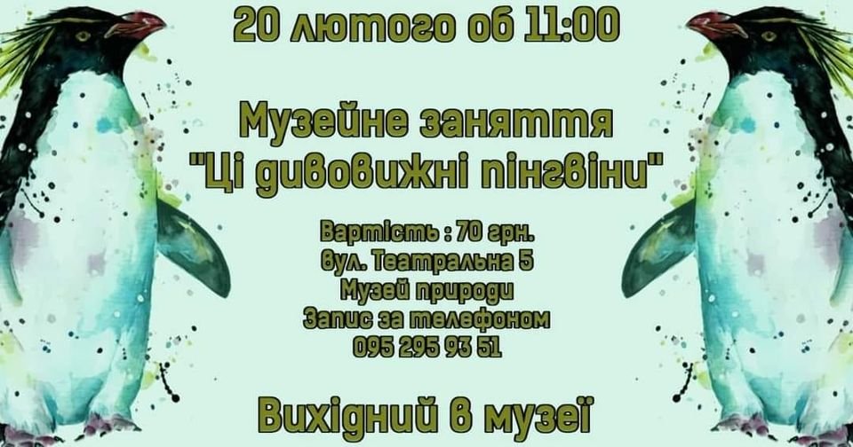 Краєзнавчий музей запрошує на знайомство з пінгвінами