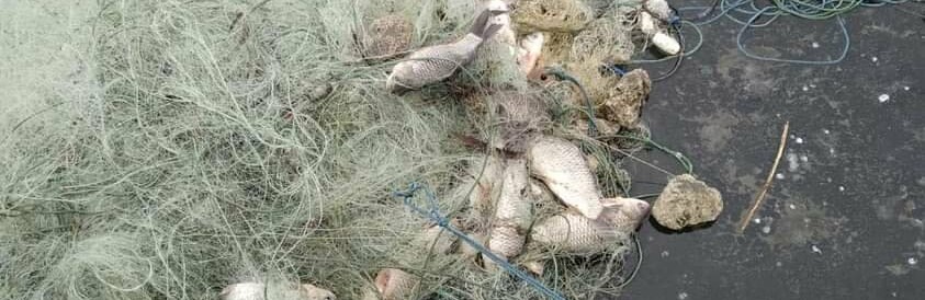 Протягом тижня зафіксовано 57 правопорушень, - Херсонський рибоохоронний патруль