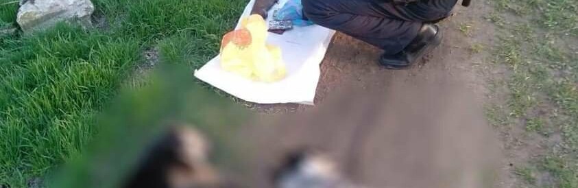 Поліція відкрила кримінальне провадження за фактом жорстокого поводження з тваринами в Каховському районі
