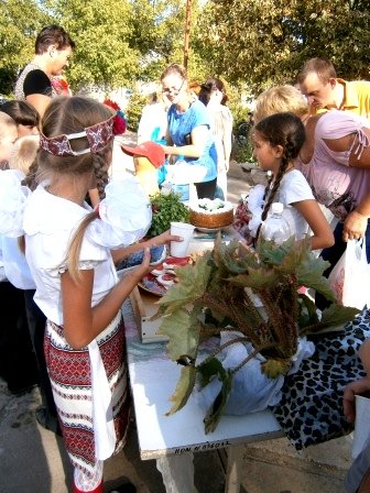 P9140167 - копия P9140167 - копия