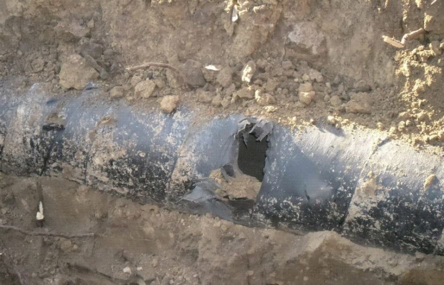 68300_263330323789035_1719089564_n