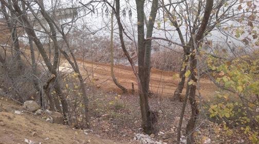 дорога дорога