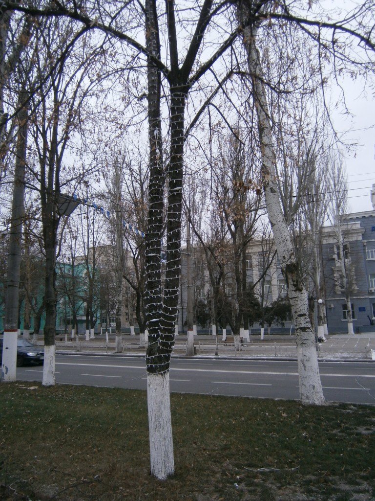 PC180034
