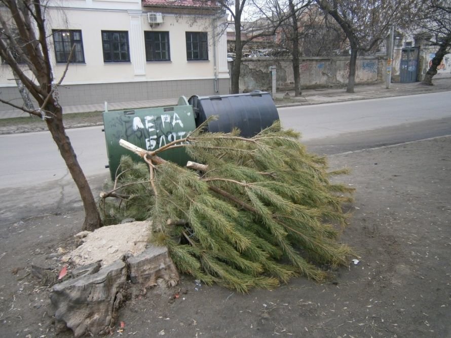 P1220065