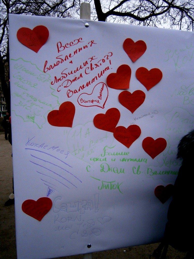 P2140008 - копия P2140008 - копия