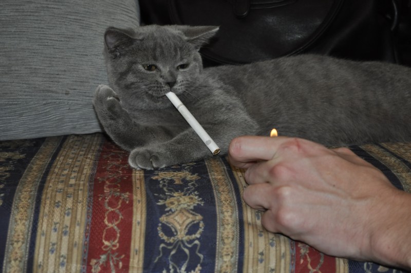 image12_136742479660