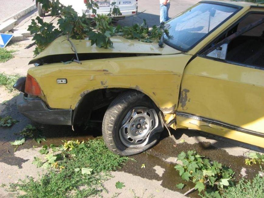 1002448_532296526826263_1131114241_n