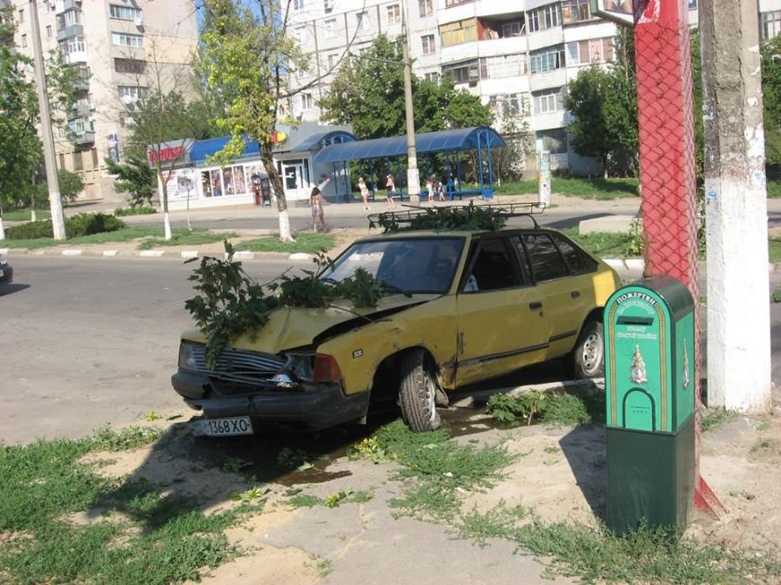 1004066_532295843492998_391649071_n