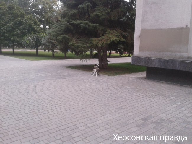 1375091993_2013-07-25-12_47_00