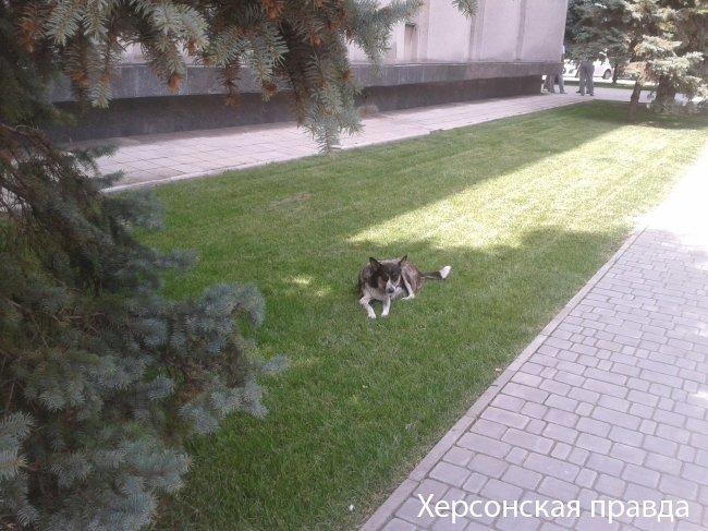 1375092047_2013-07-25-12_57_08