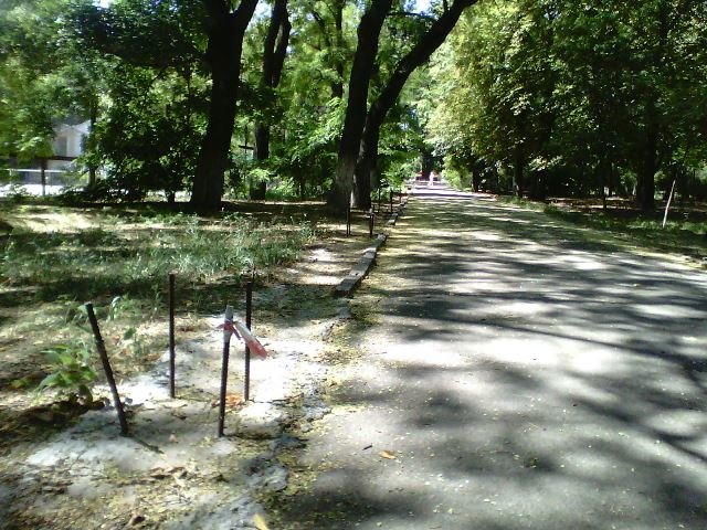 1375446384_img_20130730_132018