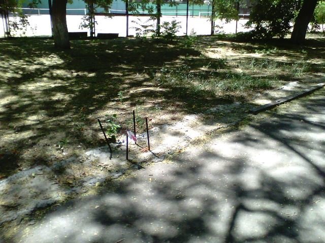 1375446410_img_20130730_132005