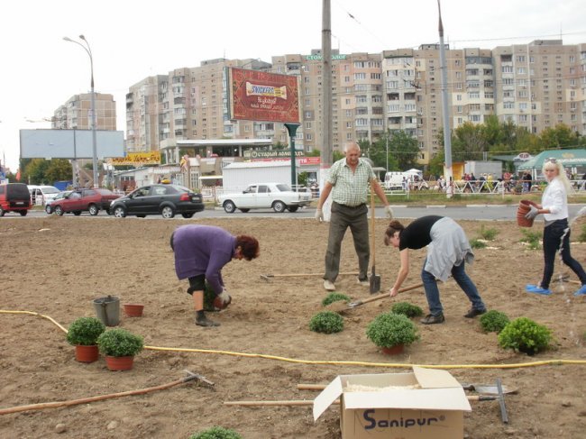 1379225451_1b2aadd558