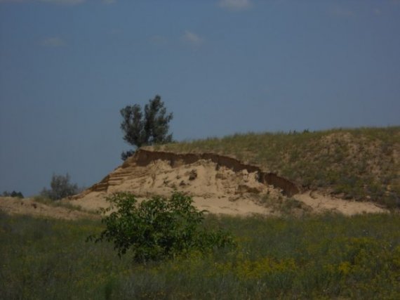 1380981923_1371627414_exmx_amp0ks