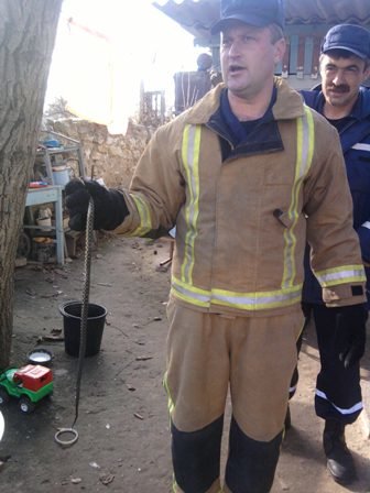 гадюка гадюка