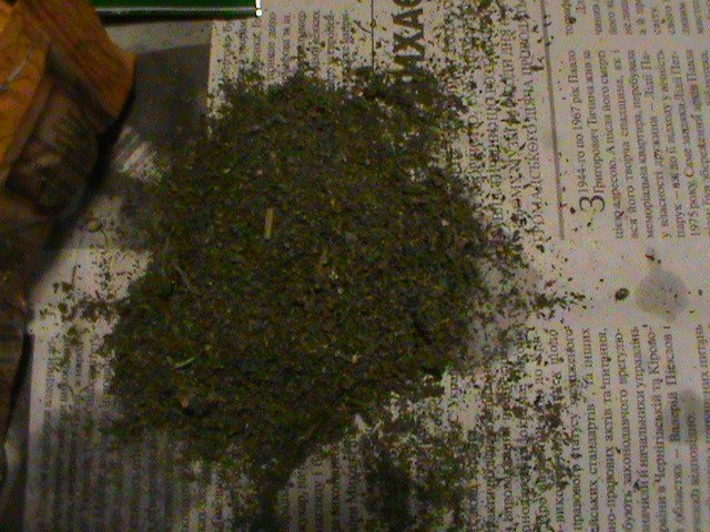 Ночной инцидент в Голопристанской исправительной колонии (фото) - фото 2 Ночной инцидент в Голопристанской исправительной колонии (фото) - фото 2