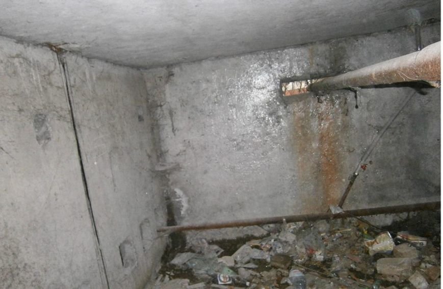 13645140_225331934527633_8762171270756324021_n