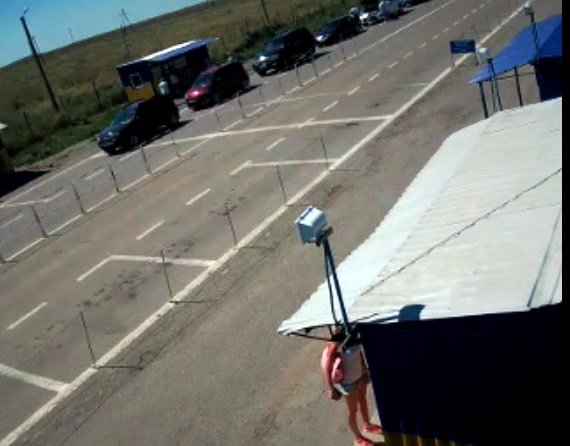 Чаплинка Чаплинка