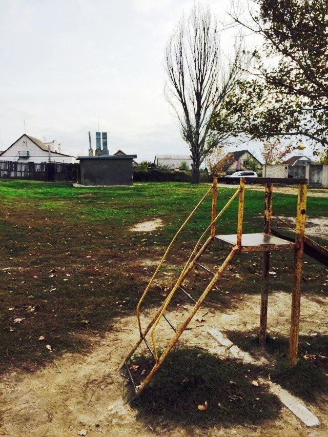 14595699_328240077534633_6425143669840033530_n