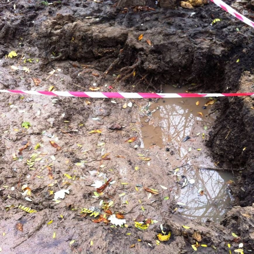 15032304_1227144827360240_6051581358254279381_n