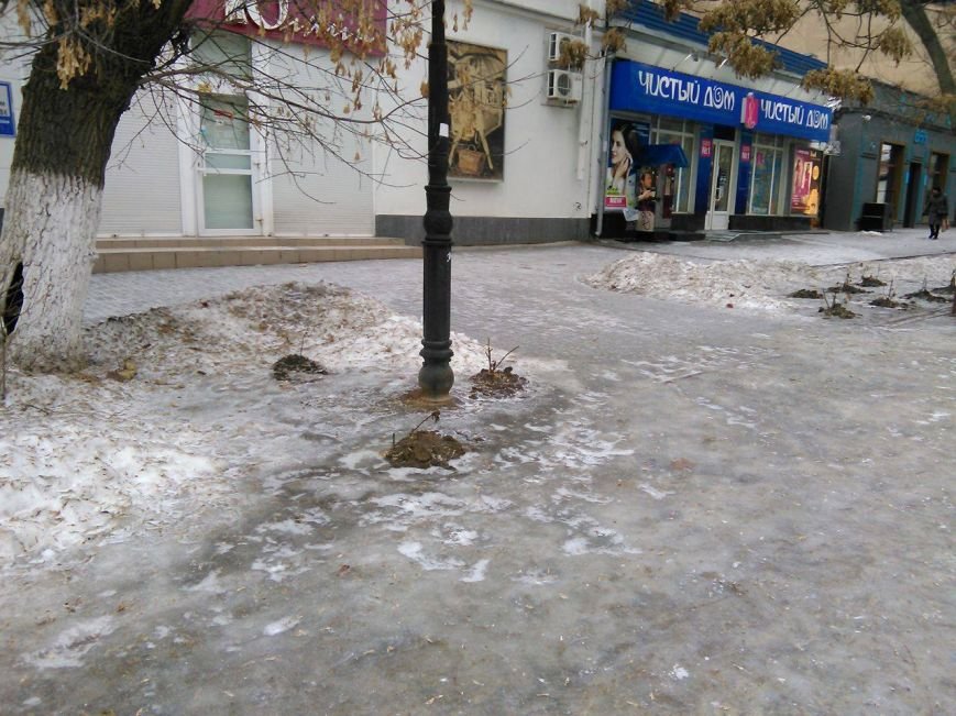 16651285_1294859027247015_154579908_o