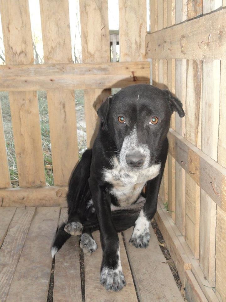 16938466_1845746635713429_5667058936335819967_n