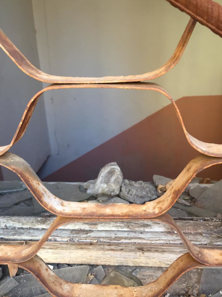 17190420_1469542089763523_7536828917468421137_n