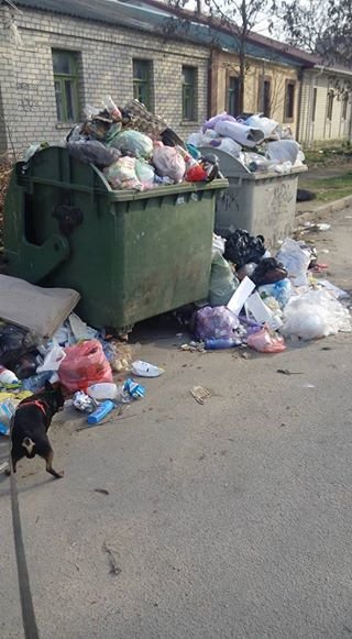 17103427_796911010475195_5045922368451076328_n