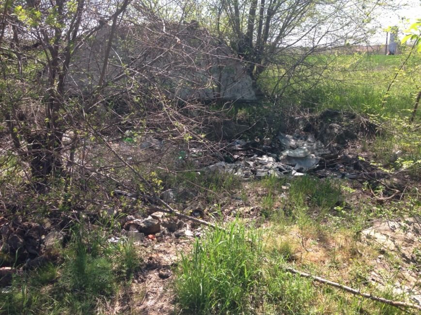 17990768_1613316978681858_714611775067206991_n